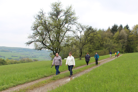 Die Wanderer laufen auf einem Waldweg parallel zu einer Wiese.