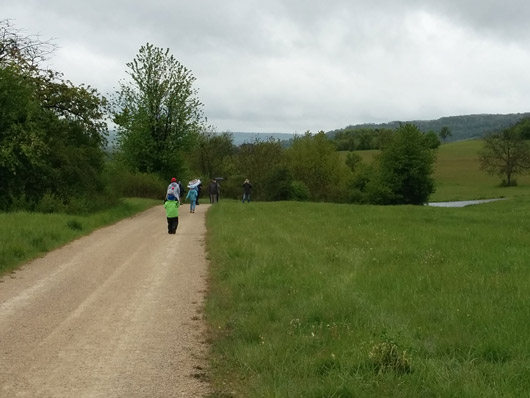 Die Wanderer laufen teils mit Regenschirmen einen Weg entlang.